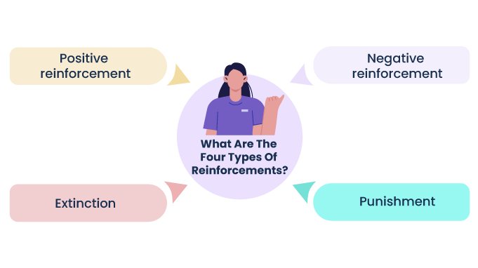 Four type of reinforcements in reinforcement theory