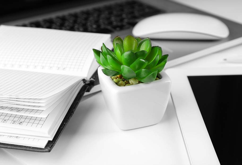 Workplace-christmas-gifts-desk-plants