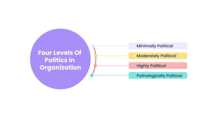 Four-Levels-Of-Politics-in-Organization