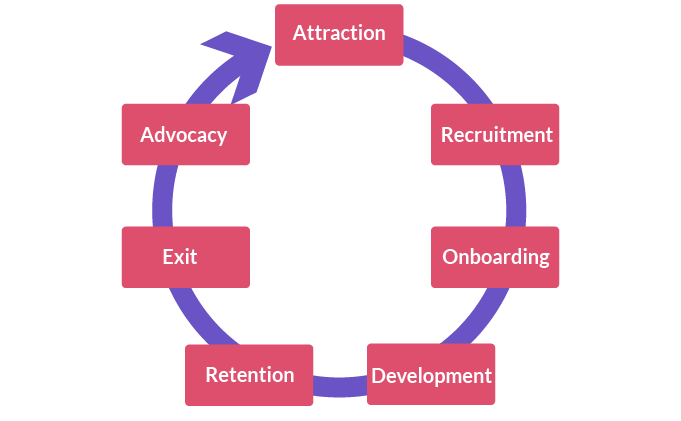 Looking at the Stages of Employee Lifecycle